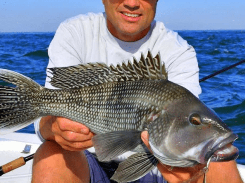best trout fishing rods and reels for cheap amount Shimano Compre Lite Spinning Rod Review